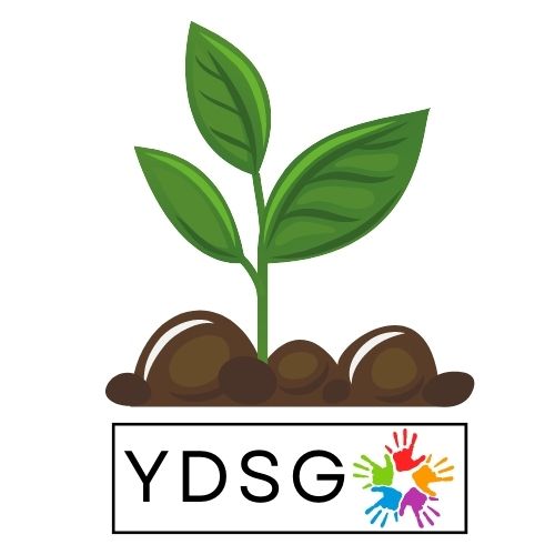 Фондация "Младежи за развитие и устойчиви цели"