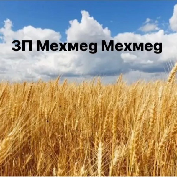ЗП Мехмед Мехмед logo